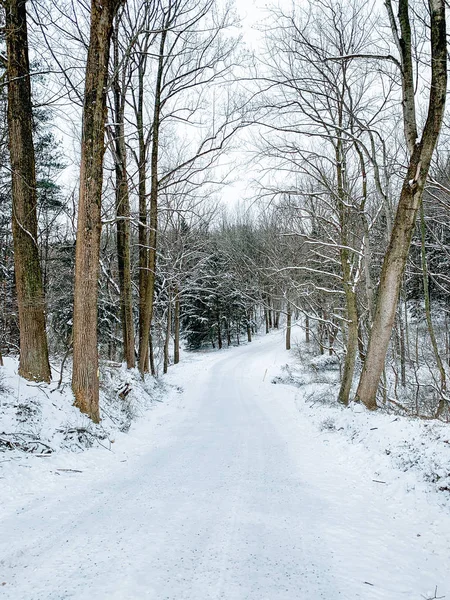 Kar Kaplı Ülkede Yol Kış York County Pennsylvania — Stok fotoğraf