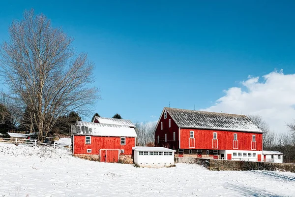 Červená Stodola Farmě Sněhu York County Pensylvánie — Stock fotografie