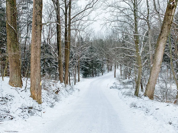 Zăpadă Acoperită Drum Țară Timpul Iernii York County Pennsylvania — Fotografie, imagine de stoc