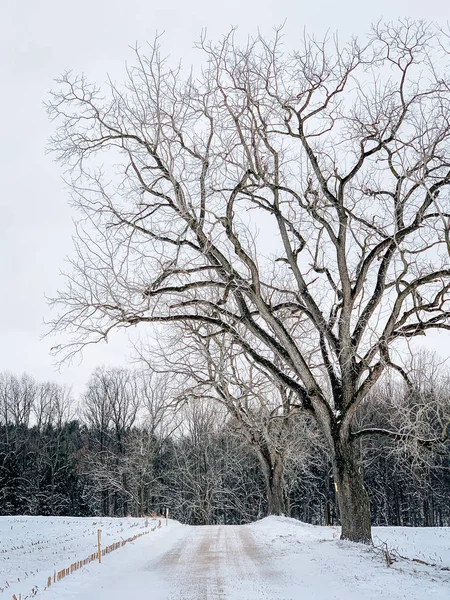 Sneeuw Overdekte Landweg Winter York County Pennsylvania — Stockfoto