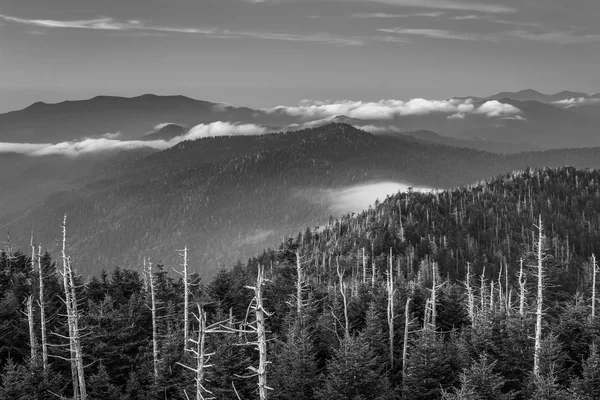 Clingman Kubbe Gözlem Kulesi Büyük Smoky Dağları Milli Parkı Tennessee — Stok fotoğraf