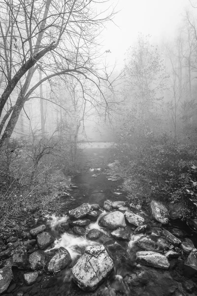 Mistige Herfst Uitzicht Tye Rivier Buurt Van Crabtree Falls George — Stockfoto