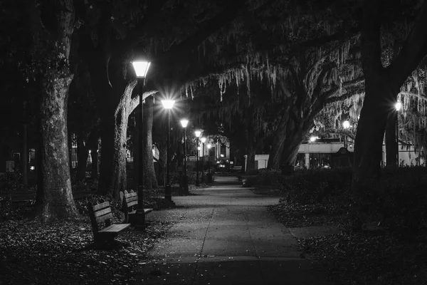 Benches Trees Spanish Moss Walkway Night Forsyth Park Savannah Georgia — Stock Photo, Image