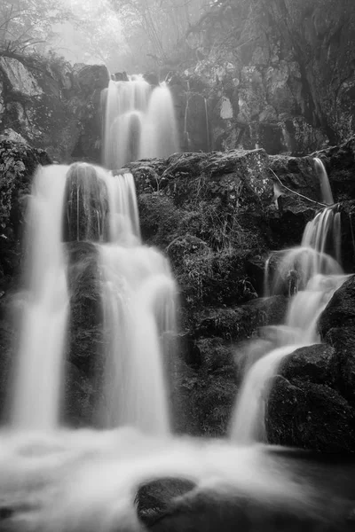 Bovenste Doyle River Valt Een Mistige Lentedag Shenandoah National Park — Stockfoto