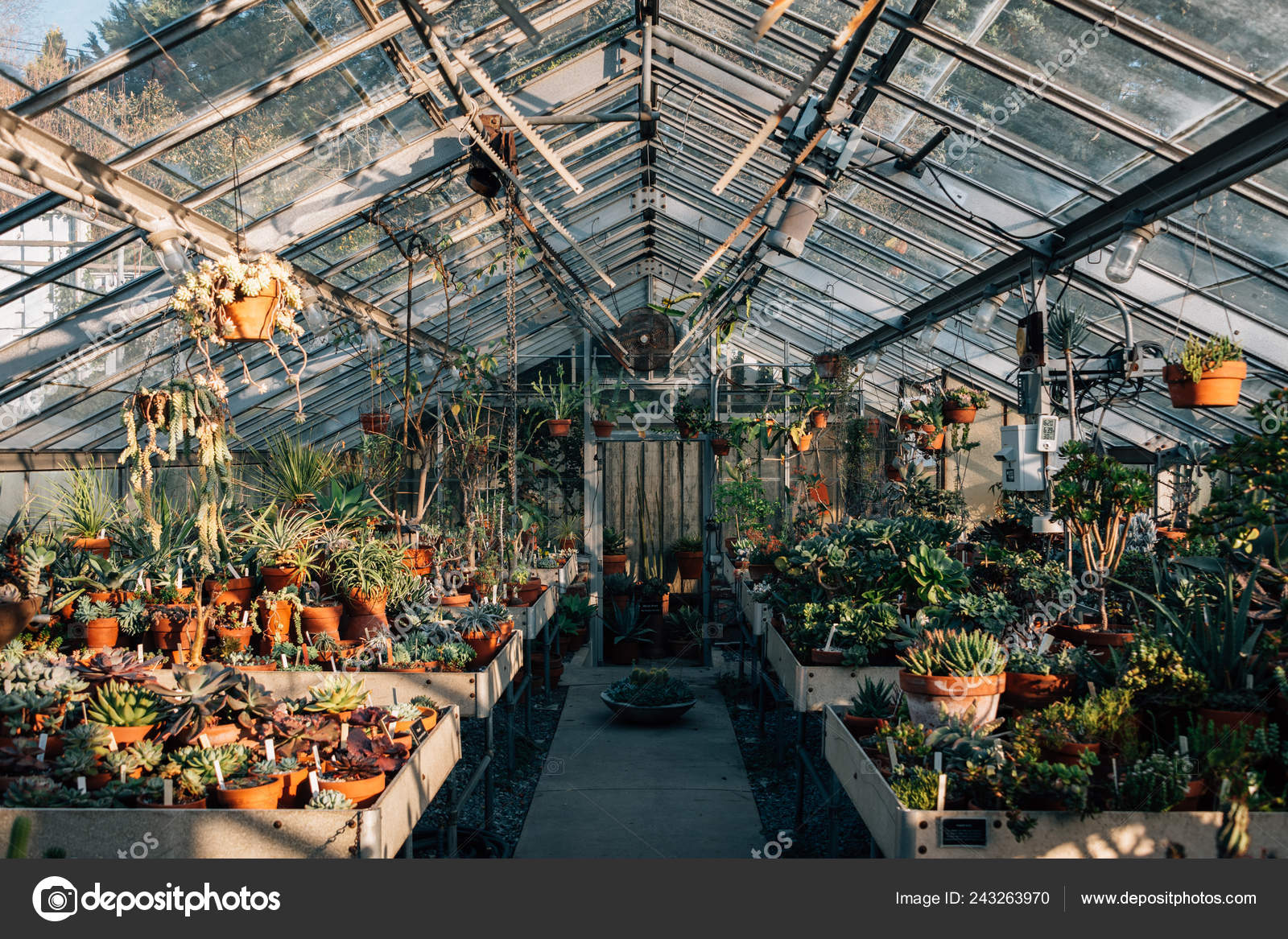 Greenhouse Wave Hill Public Gardens Bronx New York City Stock