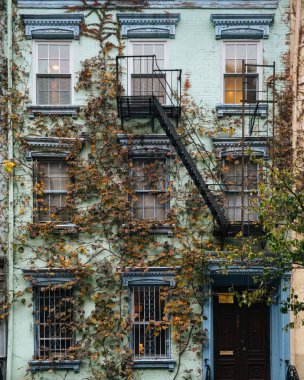 Sarmaşıklar bir konut East Village, Manhattan, New York şehir bina sonbahar yaprakları ile