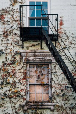 Sarmaşıklar bir bina East Village, Manhattan, New York City ile yangın merdiveni