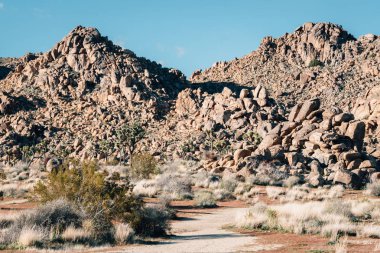 California'dan çölde, Joshua Tree National Park kaya kazık
