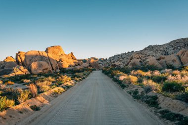 Toprak yol ve kaya yığınları çölde, Joshua Tree National 
