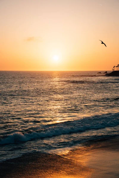 Pôr do sol sobre o Oceano Pacífico em Laguna Beach, Orange County, Ca — Fotografia de Stock