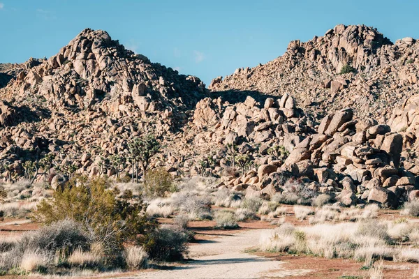 Rock cölöpök a sivatagban, a Joshua Tree Nemzeti Park, Californ — Stock Fotó