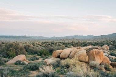Kayalar ve Pioneertown yarış, toprak yol boyunca çöl manzarası