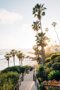 Merdiven ve palmiye ağaçları Heisler Park, Laguna Beach, Orang
