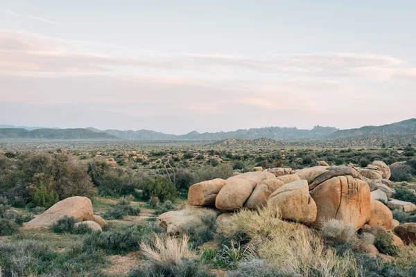 Skály a pouštní krajina podél polní cestě na Pioneertown Moun — Stock fotografie