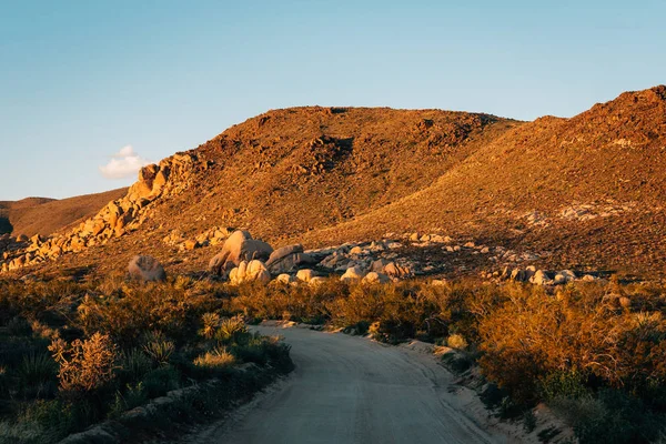 Chemin de terre et montagnes dans le désert à Joshua Tree National Pa — Photo