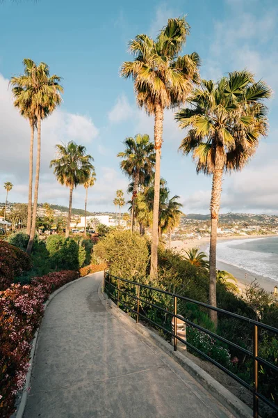 Sökvägen och palm träd på klipporna vid Heisler Park, Laguna Beach, Ora — Stockfoto