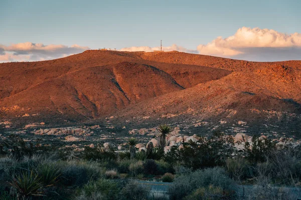 Hory a pouštní krajina při západu slunce, v vydání Joshua Tree National — Stock fotografie