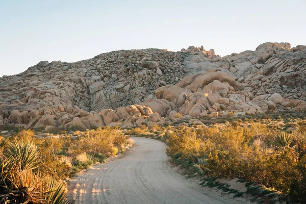 Chemin de terre et tas de rochers dans le désert, dans Joshua Tree National — Photo