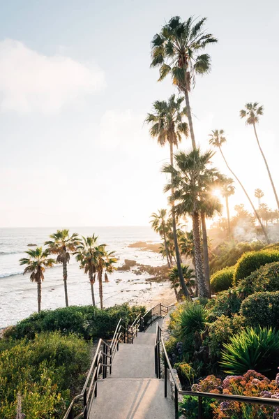 Staircase and palm trees at Heisler Park, in Laguna Beach, Orang — Stock Photo, Image