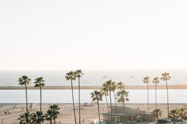 Palmiye ağaçları ve beach Corona del Mar, Newpor gün batımı adlı görünümünü