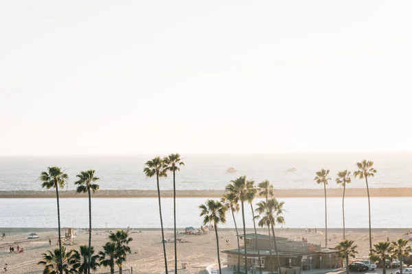 View of palm trees and beach at sunset in Corona del Mar, Newpor — Stock Photo, Image