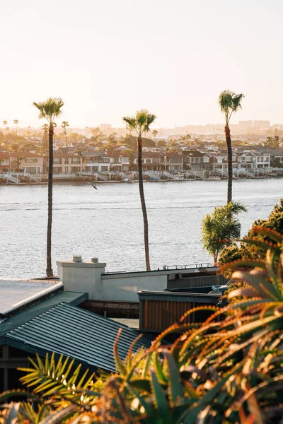 Palmer och syn på Balboa Island från utsiktsplatsen i Coron — Stockfoto