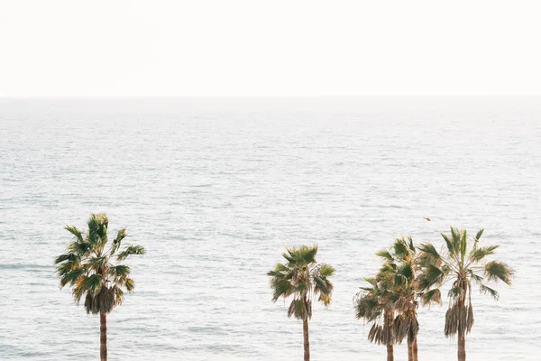 Palm trees and the Pacific Ocean in San Clemente, Orange County, — Stock Photo, Image