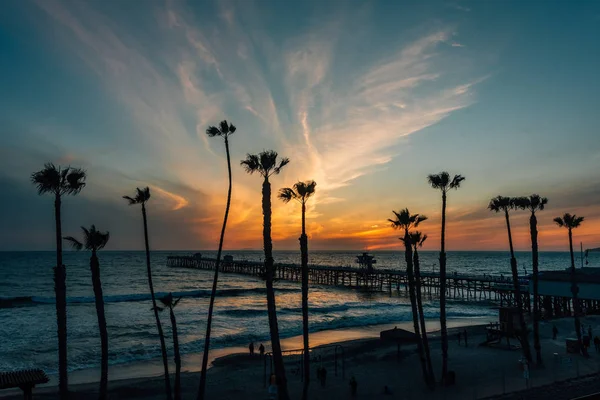 Blick auf Palmen, Strand und Seebrücke bei Sonnenuntergang, in San Clemen — Stockfoto