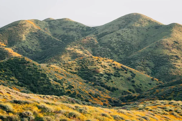 Maki i zielone wzgórza w Canyon Walker, w Lake Elsinore, Cali — Zdjęcie stockowe