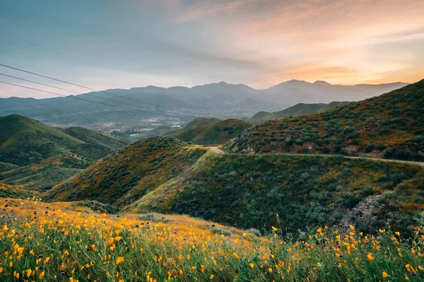 Amapolas con vista de verdes colinas y montañas al atardecer, en Wal —  Fotos de Stock