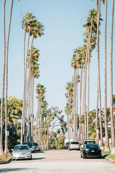 Street with palm trees in Corona del Mar, Newport Beach, Califor — Stock Photo, Image