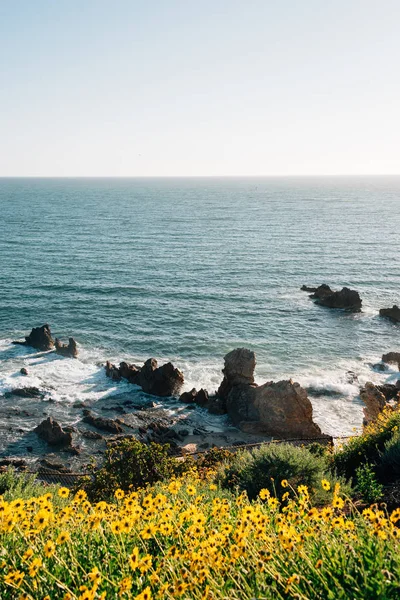 Flores y vista de la costa rocosa en Corona del Mar, Newport Beach — Foto de Stock
