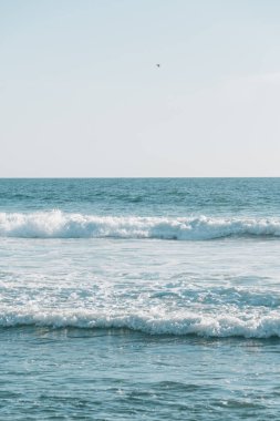 Dana Point tuz dere Plajı'nda Pasifik Okyanusu dalgaları, 