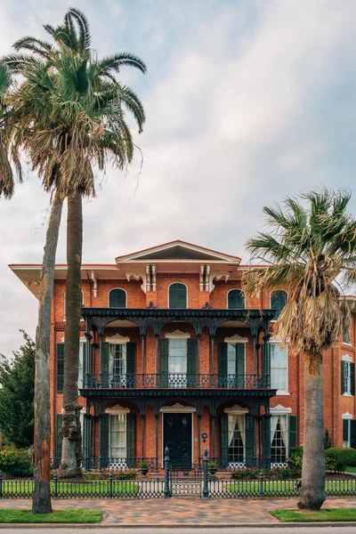 Palmiers et la villa Ashton, à Galveston, Texas — Photo
