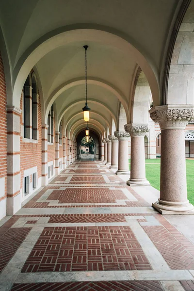 Arches alla Rice University, a Houston, Texas — Foto Stock