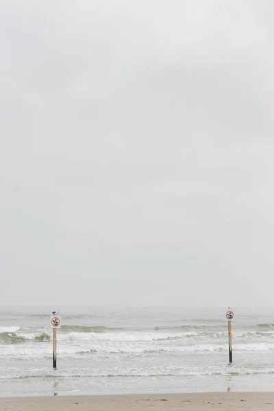 No swimming signs on the beach in Galveston, Texas — Stock Photo, Image