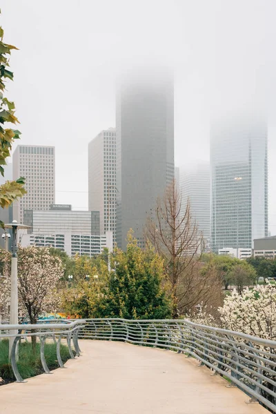 View of the Houston skyline in fog, from Buffalo Bayou Park in H