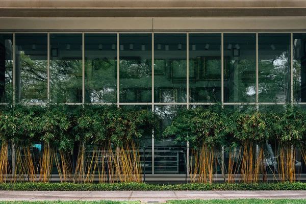 The exterior of the Menil Collection, in Houston, Texas — Stock Photo, Image