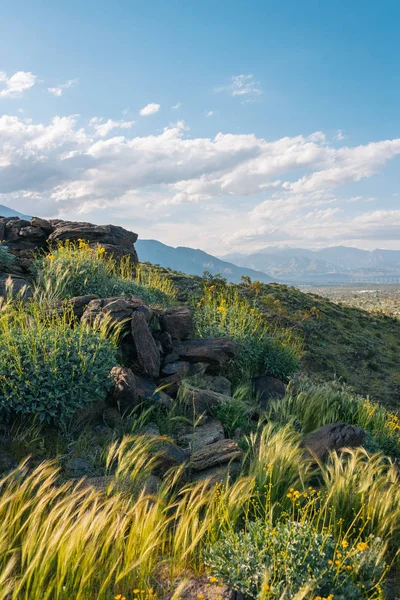 Hory v Palm Springs, Kalifornie — Stock fotografie