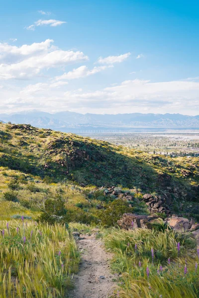 Montagne a Palm Springs, California — Foto Stock