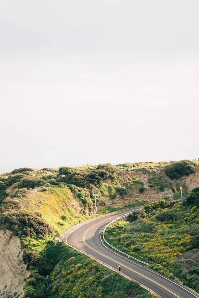 Visa Cove Road i Dana Point, Orange County, Kalifornien — Stockfoto