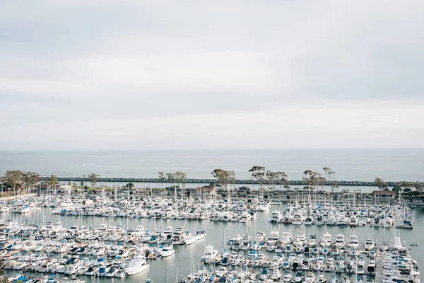 Veduta delle barche nel porto dal Bluff Top Trail, Dana Point — Foto Stock