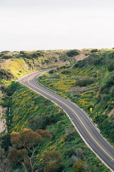 Weergave van Cove Road in Dana Point, Orange County, Californië — Stockfoto