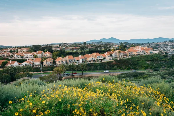 Pohled z parku na kopci v Dana Point, oranžové a žluté květy — Stock fotografie