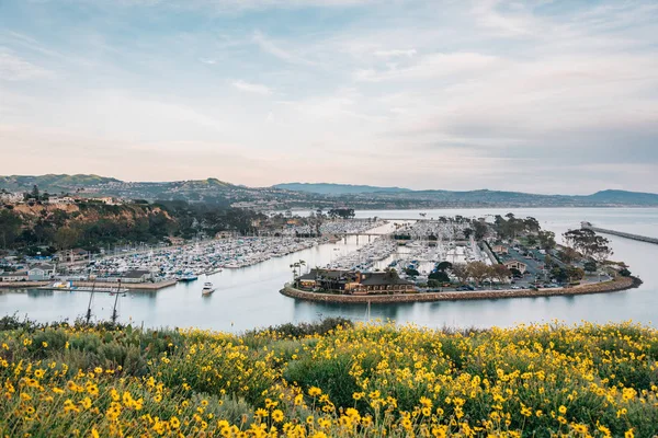 Fiori gialli e vista sul porto da Harbor Point Park, Da — Foto Stock