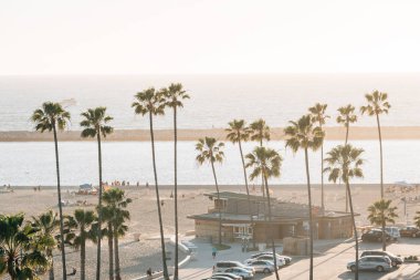 Palmiye ağaçları ve plaj, Corona del Mar, Newport Beach, Cali