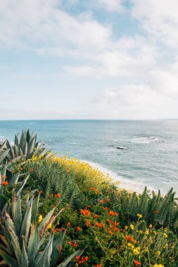 Flowers ve Pacific Ocean, Laguna 'da Treasure Island Park 'ta