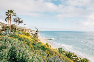Flowers ve Pacific Ocean, Laguna 'da Treasure Island Park 'ta