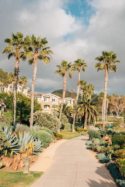 Laguna Beach Treasure Island Park 'ta bir yol boyunca palmiye ağaçları — Stok fotoğraf