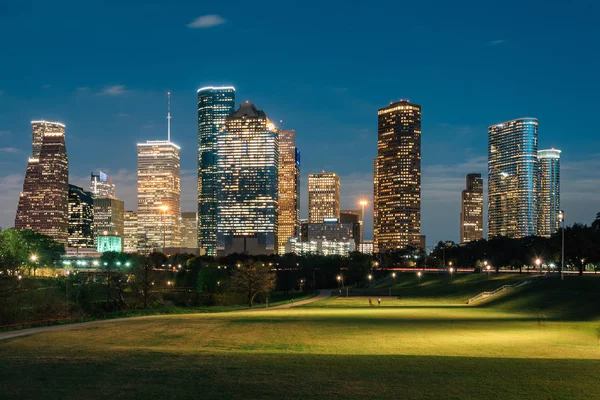 View of the Houston skyline at night from Eleanor Tinsley Park,